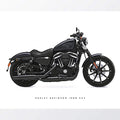 Harley Davidson Iron 883 Motorcycle Print - Pit Lane Prints